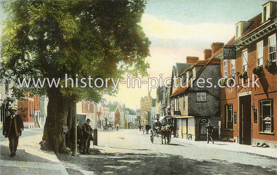 High street, Ongar, Essex. c.1905